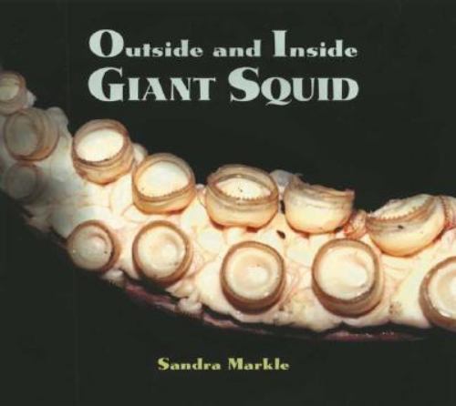 Outside and inside - inside, giant